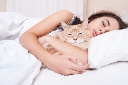 猫が『添い寝したい』と思っているときのサイン3選 一緒に寝たがる理由や注意すべきことも解説