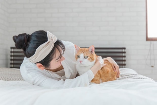 猫と遊ぶ女性