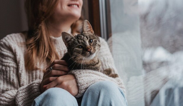飼い主の女性に抱かれる猫