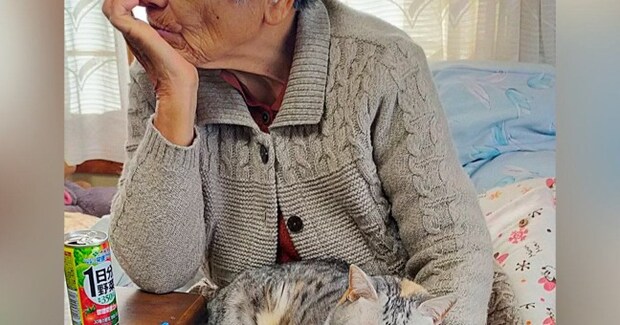 そっぽを向くおばあちゃん→『膝の上』を見ると猫が…『ツンデレ』なふたりの様子に10万いいね「きっとお互いのことが大好き」「愛ですな」