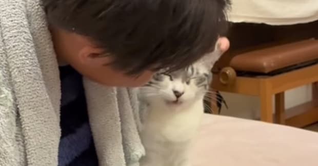 長男にだけ『特別な甘え方』をする猫…まるで恋人同士のような『尊すぎるやり取り』が68万再生「もう彼女ｗ」「大好きが溢れてるねｗ」