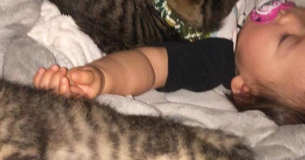 すやすやと眠る『赤ちゃん』→そばには『子猫たち』がいて…涙が出るほど尊い光景に２万いいね「守ってるね」「うらやましい」現在の様子も