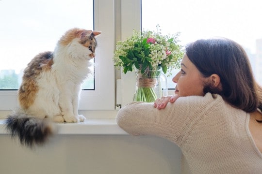 猫を『子ども扱いしすぎる』と起こるトラブル3つ　過度な愛情は逆効果に？心がけたい適切な距離感も