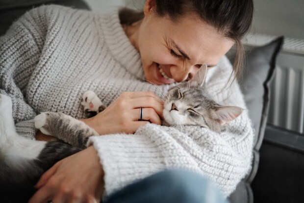 抱っこされている猫