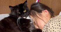 猫が『熟睡中の女の子』にモフモフされた結果、『予想外の反撃』に出て……微笑ましい光景に「本当に優しいね」「幸せの具現化」の声