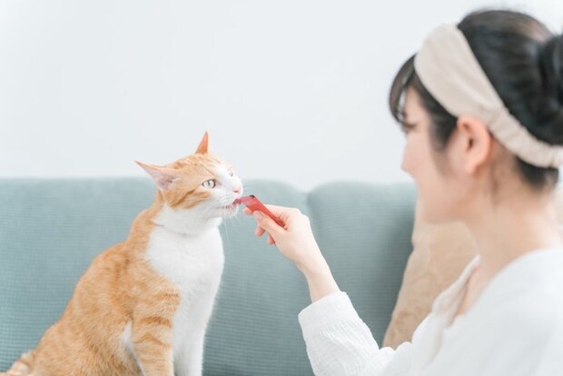 女性と猫