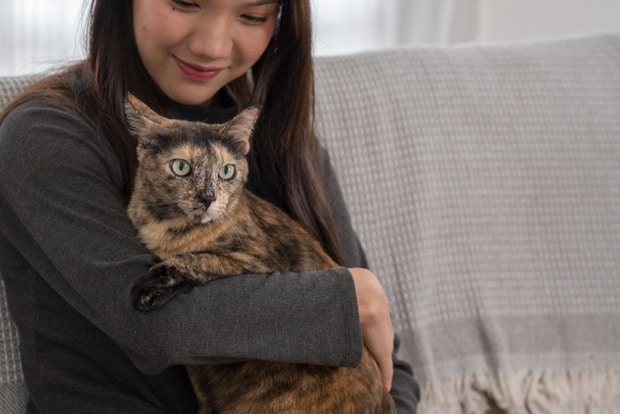 女性とサビ猫