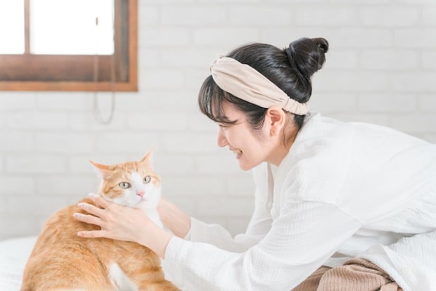 かわいがる飼い主と嫌がる猫