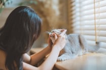 猫とふれあいながらできる『健康チェック法』7選　見るべきポイントや異常サインの見分け方