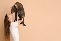 猫と『キス』すると感染するかもしれない病気4選　甘くみてはいけない理由や対策方法まで