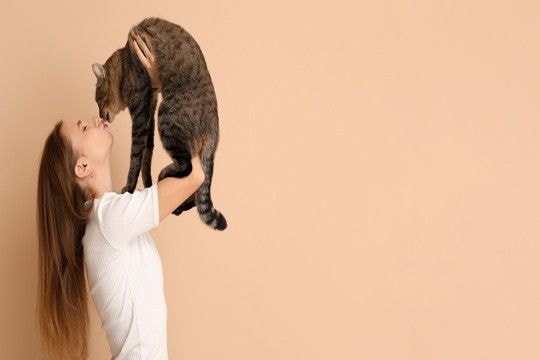 猫と『キス』すると感染するかもしれない病気4選 甘くみてはいけない理由や対策方法まで