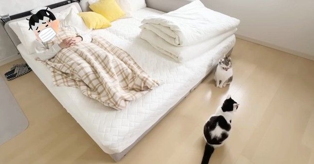 パパが風邪で寝込んでいると…猫たちが見せた『優しさ溢れる行動』にほっこりする人が続出「温かい気持ちになった」「心配なんだね」