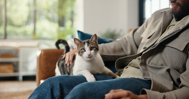 男性と猫