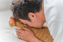 『猫吸い』をするなら守るべきこと3選　愛猫はどんな気持ちなの？注意したいリスクも解説