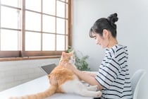 猫が急に『赤ちゃん返り』をする原因5つ　妙に甘えてくるのはなぜ？上手な対処法も解説