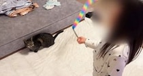 女の子が歌いだした次の瞬間、近くにいた猫が…完璧に『合いの手』をいれる『尊すぎる光景』に「信じられない」「一緒に歌ってる」と反響