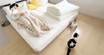 パパが風邪で寝込んでいると…猫たちが見せた『優しさ溢れる行動』にほっこりする人が続出「温かい気持ちになった」「心配なんだね」