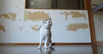 猫たちが集まる『仕事部屋』を作るために…DIYで『ボロボロの廃墟を大改造』した結果…1年半の記録が45万再生「クオリティが高すぎる」