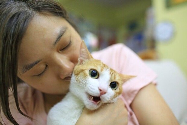 猫を抱える人と嫌がる猫