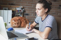 大学図書館で学生を癒すやさしい猫が「非公式マスコット」として大人気に　英国