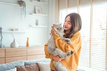 猫を『不安な気持ち』にさせてしまうNG行動4選　ストレスにつながるリスクから改善策まで