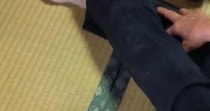 普段は人に近寄ってこない猫たち→『おばあちゃんが来た』結果…まさかの光景に12万いいね「前世マタタビだった説ｗ」「おばあちゃん最強ｗ」