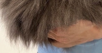 シャンプーされるのが嫌すぎる猫→飼い主さんの腕の中で…『可愛すぎる光景』に３万いいねの反響「いい毛玉っぷり」「別の生き物かと思った」