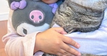『大事な存在』をぎゅっと抱きしめる女の子→『猫の様子』を見ると…素敵な光景に８万いいね「相思相愛って美しい」「涙が出てきた」と反響