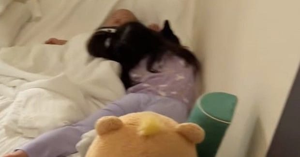 お布団を見ると『子供と猫』が集まっていて…心温まる『尊い光景』に「愛おしいしか言葉が出ない」「可愛い生物しかおらん」と癒される人が続出