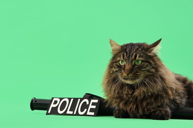 猫警察官のイメージ