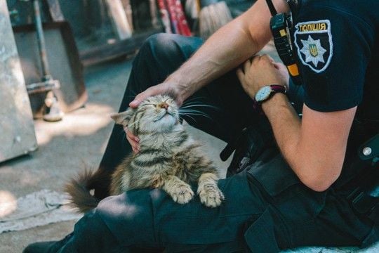 市民の安全を守るのは「猫警察官」ニャン！　米国各地で活躍中の猫ちゃんたち