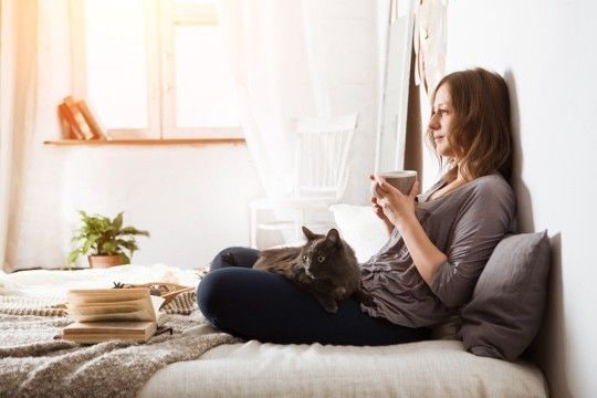 猫と人間の『生活リズムがズレている』ときの対処法4つ　崩さないためのコツや合わせるメリットまで