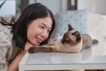 愛猫があなたの呼びかけに『返事している』ときのサイン5つ　無視しているワケではない？猫なりの返答方法とは