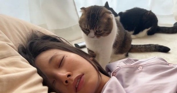 『二度寝するママ』を起こしたい猫→奮闘した結果…まさかの展開が可愛すぎると93万再生「最終決戦がおもろいｗ」「マジ笑った」と爆笑の声