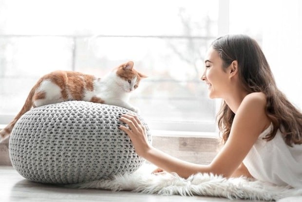 猫に微笑みかける女性