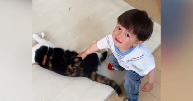 猫をロボット掃除機から守りたい男の子→大慌てでやってきて…微笑ましい光景が71万再生「優しすぎて涙が出た」「温度差がすごいw」