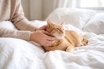 猫が『親友と認めた人』にだけみせるサイン4つ　あなたの愛猫はどう？仲を深める関わり方のコツも