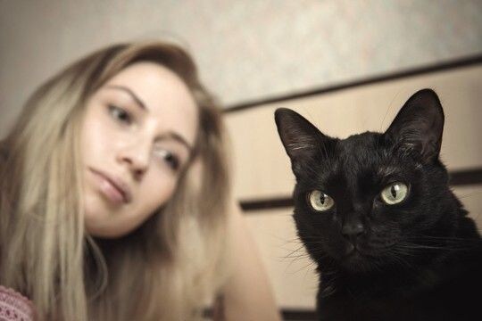 猫と気まずくなったときに『仲直り』する方法3つ 機嫌を直してもらうコツや上手な歩み寄り方