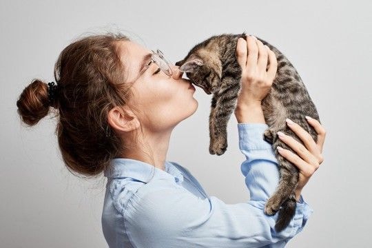 さすがの猫パワー! やさしくフワフワな「セラピー猫」とのふれあいで、期末試験のストレスもすっかり解消ニャン! 米国
