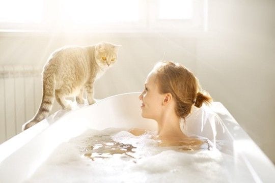 猫が『お風呂上がりの人』に寄ってくる理由5つ　どんな目的があるの？上手な応え方まで