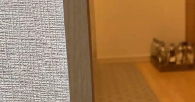 キッチンに並べられた『水の入ったペットボトル』→近づいてみると…予想外の『かわいい光景』が16万再生「満足そうw」「たまらなく愛おしい」