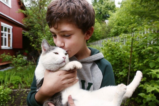 猫にキスする少年