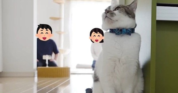 猫はパパとママ『どちらを選ぶ?』→同時に呼んでみた結果…笑ってしまう『夫婦バトルの様子』に「なんて平和な戦いw」「面白すぎて爆笑」の声
