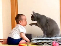 赤ちゃんと一緒にいるネコ→そばで見守っているかのようで…とんでもなく癒される『寄り添う様子』に「偉いね」「かわいい」と反響集まる