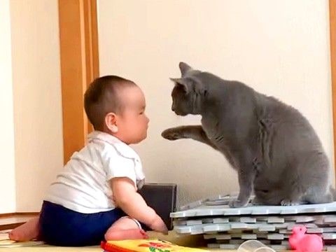 赤ちゃんと一緒にいるネコ→そばで見守っているかのようで…とんでもなく癒される『寄り添う様子』に「偉いね」「かわいい」と反響集まる