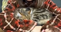 腕に包まれるようにして眠っていた子猫→飼い主がそっと『腕を離してみる』と…とんでもなく尊い瞬間が49万再生「幸せがすぎる」「泣いた」