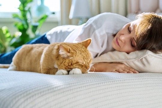 猫が見せる『亡くなる直前』のサイン5つ 見逃したくない変化や後悔しないための過ごし方まで