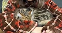 腕に包まれるようにして眠っていた子猫→飼い主がそっと『腕を離してみる』と…とんでもなく尊い瞬間が49万再生「幸せがすぎる」「泣いた」