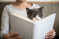 世界の偉人たちによる『猫にまつわる名言』4選　猫好きなら思わず頷く素敵な言葉とは