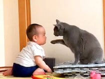 赤ちゃんと一緒にいるネコ→そばで見守っているかのようで…とんでもなく癒される『寄り添う様子』に「偉いね」「かわいい」と反響集まる
